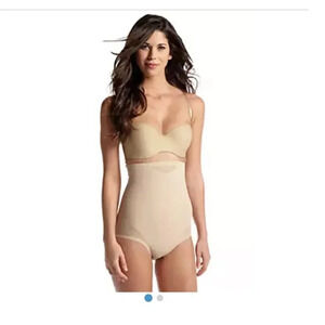 Miraclesuit Wonderful Edge Hi-Waist Brief with Sheer Inserts - 2785 #001